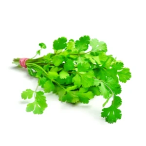 أوراق كزبرة