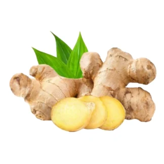 جذر زنجبيل حبة واحدة
