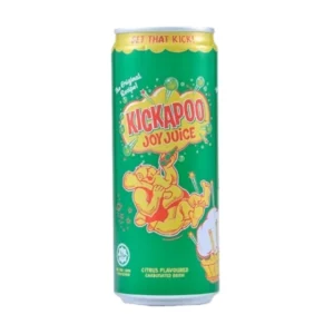 كيكابو مشروب غازي حمضيات 320 مل